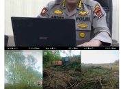 Perambahan Mangrove Kwala Gebang Naik Penyidikan, Polda Sumut Sita Ekskavator dan Telah Periksa Saksi