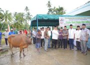 Anggota DPRD Gunungsitoli Hadiri Penyerahan Hewan Qurban