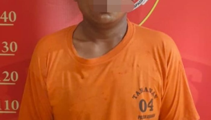 Unit Reskrim Polsek Beringin Berhasil Mengamankan Seorang Pria Pelaku Pencurian Becak Bermotor