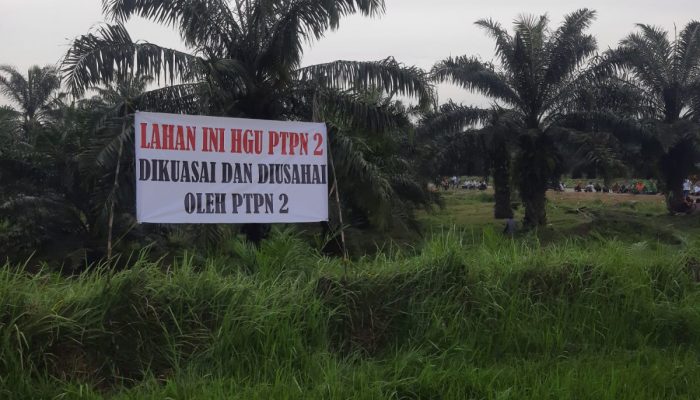Peran Mafia Tanah di Atas Areal HGU No. 62 Kebun Penara PTPN I  “Para Penggugat Akui KTP & KK Mereka dipalsukan”