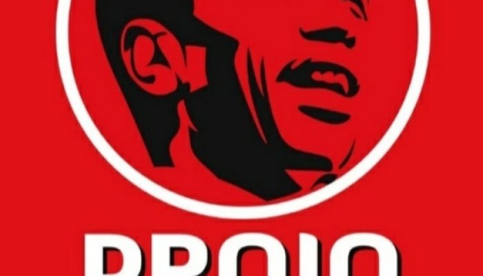 PROJO Nias Tolak Pemindahan PLTG 25 MW Dari Pulau Nias
