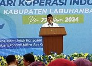 Pemkab labuhan Batu Memperingati Hari Koperasi Yang ke 77 Di Aula Suzuya Plaza Rantauprapat.