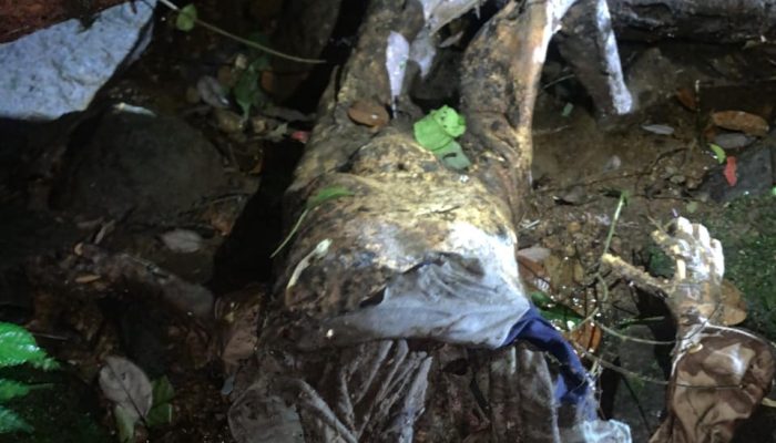 Polsek Pancur batu Identifikasi mayat Mr X.