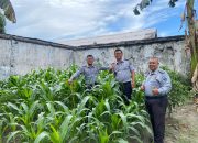 Lapas Tanjungbalai Asahan Dukung Penuh Akselerasi Menimipis Dalam Menjaga Ketahanan Pangan