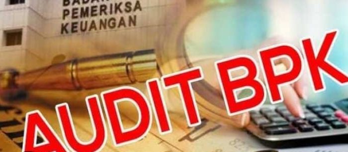 Dir. InVestigasi Siber Coruption Wach  Minta Pj.Bupati Evaluasi Kinerja Kadis PUPR Dan Jajaran ,Tentang Kelebihan Bayar  Proyek Pekerjaan JIJ 2023 Dinas PUPR Langkat Sampai Rp.5 M Lebih