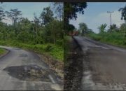 Direktur Investigasi Siber Coruption Watch (SCW) Bung Ahmad Daulay minta Kejatisu Usut Proyek PUPR Sumut di Sifahando Nias Utara Berbiaya Rp6,6 Miliar Yang Sudah Kopak Kapik.