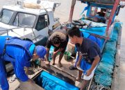 Cegah Penyelundupan, Sat Polairud Polres Tanjung Balai Patroli Perairan