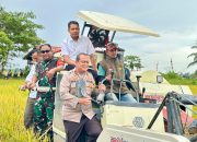 Panen Raya di Madat, Wabup Aceh Timur Tunjukkan Potensi Lumbung Pangan Nasional