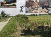 Dugaan Kredit Macet PT Pangripta di Bank Sumut Medan Senilai Rp,- 23 M, Sudah Masuk Analisa dan Telah Kejati Sumut