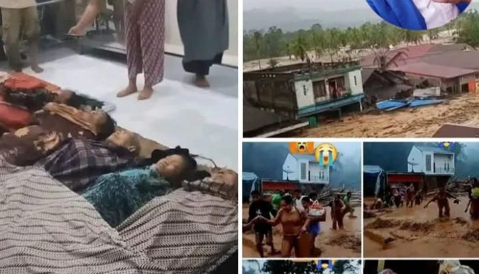 Update Bencana Alam Sumut : 10 Jasad Ditemukan, 6 Dikumpulkan di Puskesmas Batangtoru