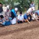 Sugiat Santoso Apresiasi Ponpes Al Hidayah Sei Mencirin Tanam 20 Hektar Bawang Merah 