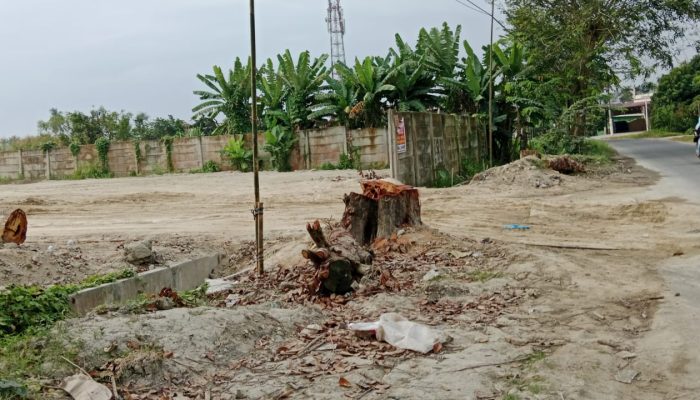 Drainase Ditutup , Masyarakat dekat PT Royal Platinum Persada Kel. Terjun Ancam Lapor ke APH