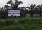 Peran Mafia Tanah di Atas Areal HGU No. 62 Kebun Penara PTPN I  “Para Penggugat Akui KTP & KK Mereka dipalsukan”