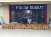 Polda Sumut gagalkan 272 kilogram ganja asal Aceh
