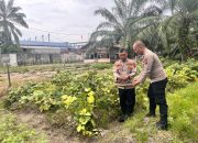 Dukung Program 100 Hari Presiden Polsek Teluk Nibung Polres T.Balai Panen Kacang Hijau