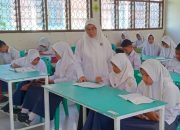 20 Tahun Mengabdi, Sempat Terima Honor Rp 100 Ribu, Hafsah Dilailai Akhirnya Diangkat PPPK