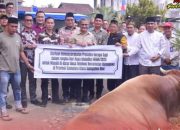 Pemerintah Kabupaten Nias Serahkan Hewan Qurban