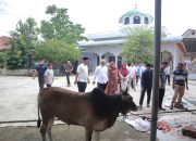 Polres Lhokseumawe Sembelih 7 Ekor Sapi Qurban, Daging Disalurkan ke Warga Sekitar