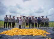 Polres Lhokseumawe Gelar Panen Raya Jagung Serentak Kuartal III Dukung Swasembada Pangan 2025