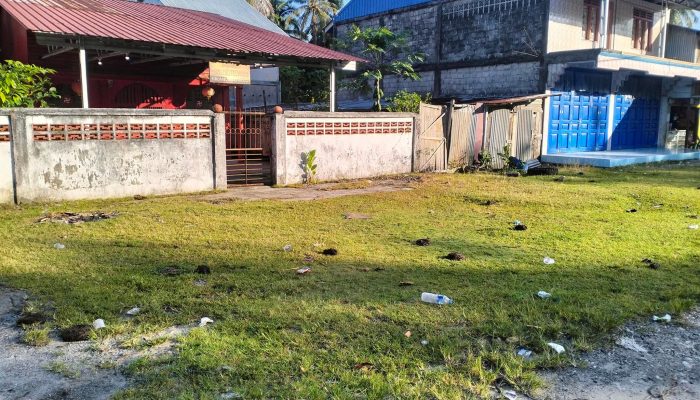 Masyarakat Sirombu Resah Dengan Ternak yang Berkeliaran Serta kotoran Dimana-Mana