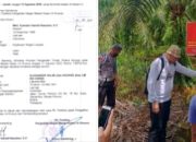 Diduga Tetap Dipanen, Kajari Langkat Bungkam, Kasi Intel Bilang Belum Ada Proses Hukum