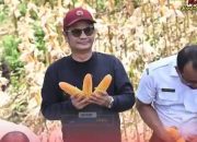 Bupati Nias Apresiasi Keberhasilan Program Ketahanan Pangan