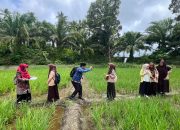 Dari Surat Pena ke Layar Kaca Mini Documentary: MAN 2 Tapteng Melaju ke International Pen Pal Competition