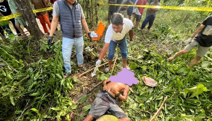 Pria Ditemukan Meninggal Dunia di Kebun, Diduga Akibat Serangan Jantung