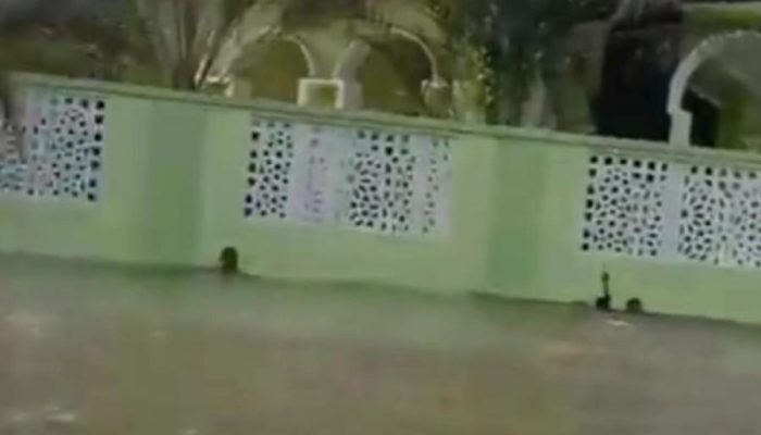 Hariman Siregar: Banjir Rob Belawan Tidak Kunjung Tuntas Wali Kota Medan Tebar Pesona Tanpa Solusi.