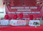 DPC PDI-P Kab. Nias Utara Gelar Musancab Serta Melantik Pengurus PAC di 11 Kecamatan