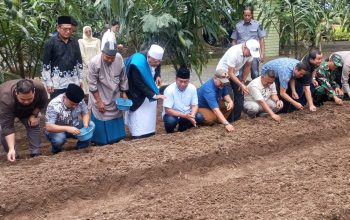 Sugiat Santoso Apresiasi Ponpes Al Hidayah Sei Mencirin Tanam 20 Hektar Bawang Merah 