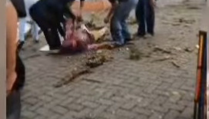 Seorang Pedagang Lukisan Anak-Anak Meninggal Usai Tertimpa Cabang Pohon Yang Patah di Lapangan Merdeka Binjai.