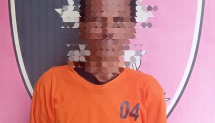 Kapolres Binjai Tegaskan Komitmen Berantas 3C, Satreskrim Tangkap Pelaku Curat